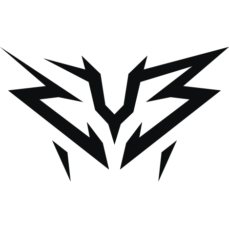 ZYB
